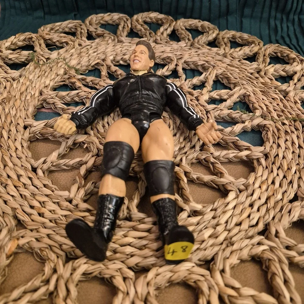 ✅WWE JBL John Bradshaw Layfield Action Figure Jakks Pacific Wrestling#️⃣48